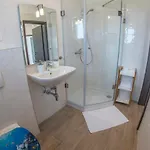 Mojeljeto