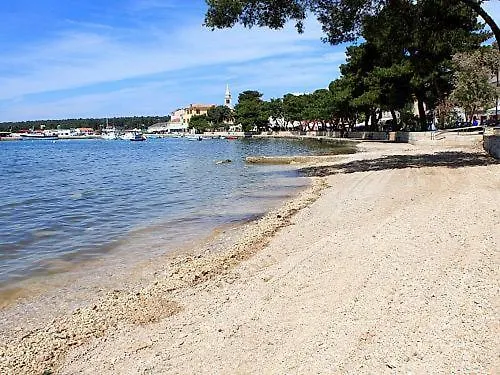 Mojeljeto 게스트하우스 파자나