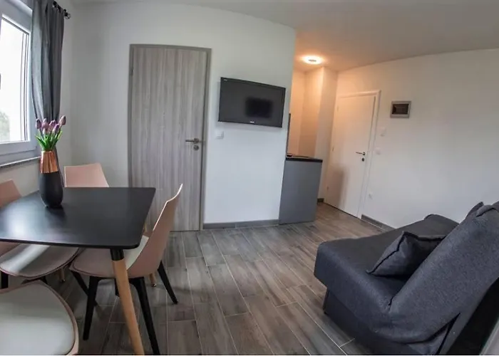 Mojeljeto 게스트하우스 파자나