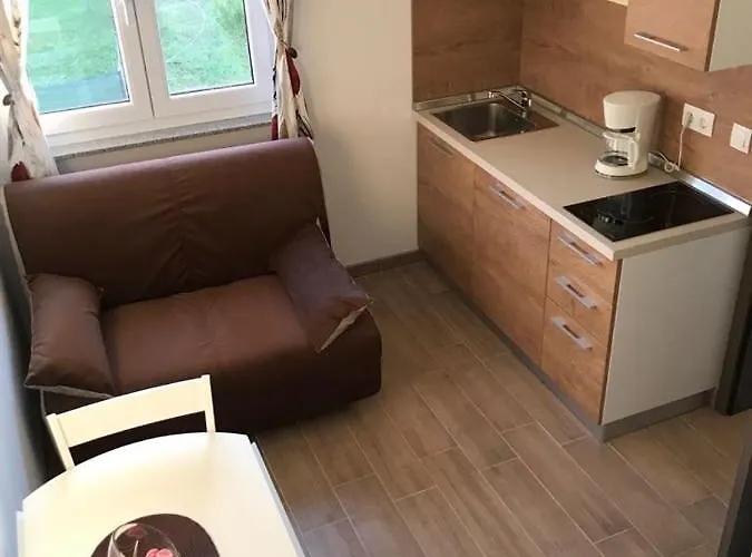 Mojeljeto 게스트하우스 파자나